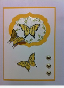 Featured Artisan Anthony