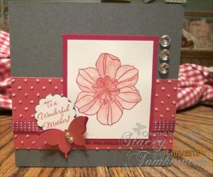 Stacey-039