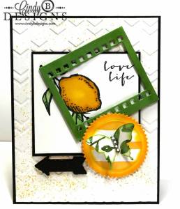Paper Craft Crew Card Sketch #125 design team submission by Cindy Coutts. #stampinup #cindycoutts