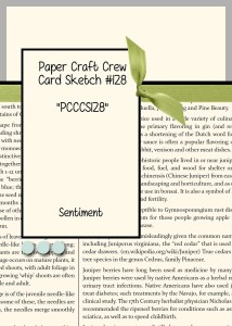 Paper Craft Crew Card Sketch 128 #stampinup #papercraftcrew #papercrafts #cardchallenge