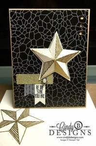 Paper Craft Crew Card Sketch #158 design team submission by Cindy Coutts. #stampinup #cindycoutts