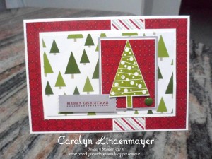 Paper Craft Crew Challenge design team submission by Carolyn Lindenmayer. #stampinup #carolinelindenmayer
