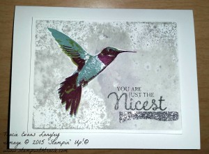 Paper Craft Crew Design Team submission by Tracie Langley. #tracielangley #stampinup #papercraftcrew #cardsketch